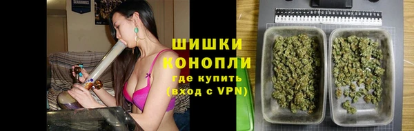 молекула духа Белокуриха