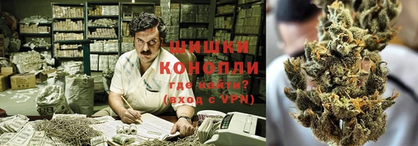 молекула духа Белокуриха