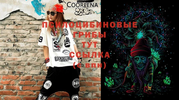 молекула духа Белокуриха
